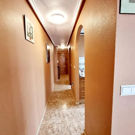 In The Center A Few Meters From The Lejlighed Torrevieja